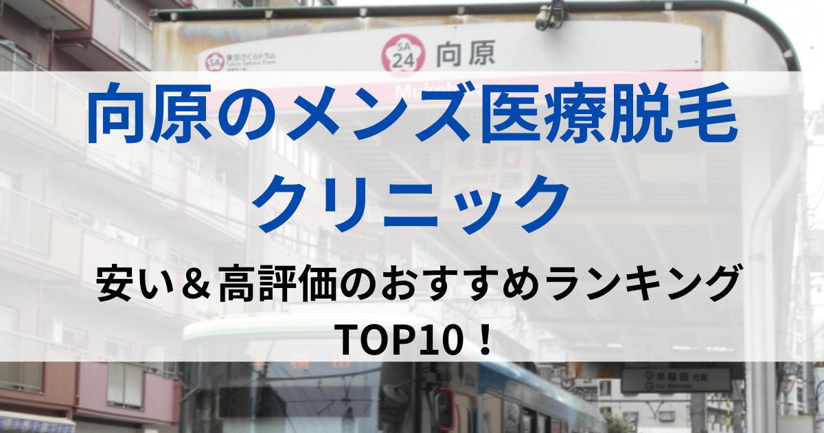 向原の街並イメージ画像です